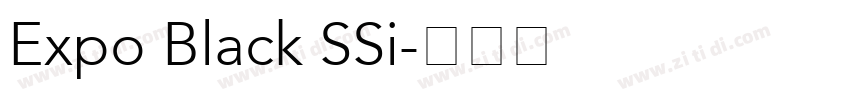 Expo Black SSi字体转换